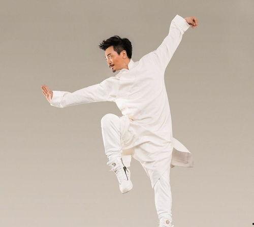 会武术的明星,会武术的他们如何演绎传奇人生
