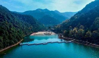 安吉最新爆料,揭秘娱乐圈幕后真相