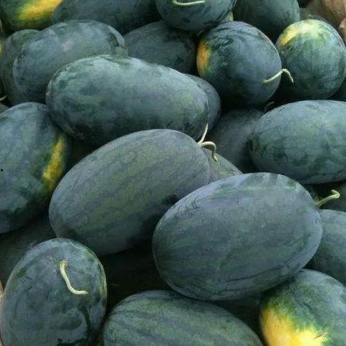 带你赏瓜带你吃瓜,夏日炎炎，瓜果飘香