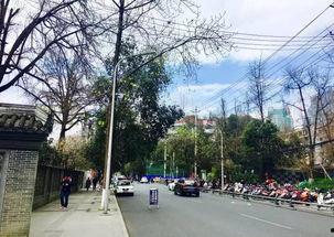 三台网红街道在哪里,打卡热门地标，感受独特风情