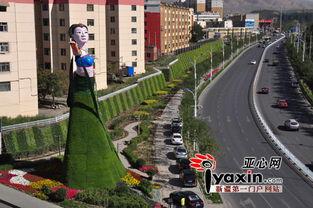 任丘新闻头条东三屯,任丘新闻头条聚焦下的乡村振兴新篇章