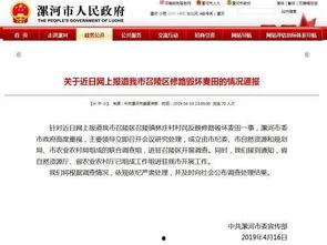 漯河麦口新闻头条,麦收时节漯河忙，丰收景象展新颜