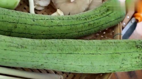 越南吃瓜视频大全集,趣味横生的本土生活缩影