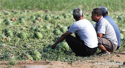 打工人摸鱼吃瓜,揭秘职场生活的小确幸