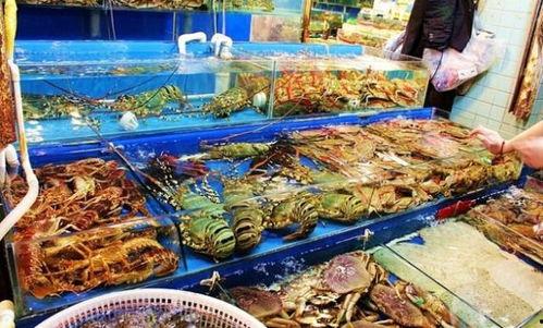 吃各种海鲜网红视频,网红视频带你领略海鲜美味之旅