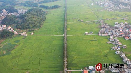 江华涛圩网红公路,穿越田园风光的梦幻自驾之旅