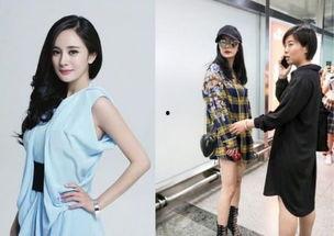 做什么工作可以见明星,揭秘与明星零距离接触的神秘工作