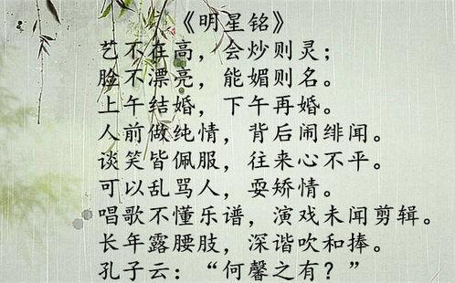 明星写评语,明星风采与魅力大盘点