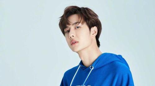 娱乐圈爆料郑爽王一博,娱乐圈新晋情侣甜蜜互动引热议”