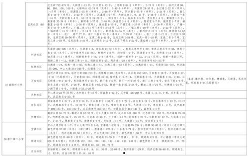 山大后卫爆料视频大全最新,揭秘篮球场上的精彩瞬间与幕后故事