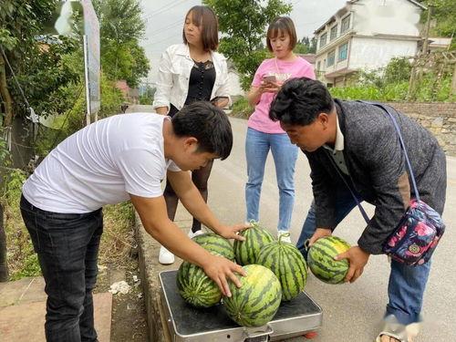 吃挂落还是吃瓜落,探寻民间饮食文化的趣味与智慧