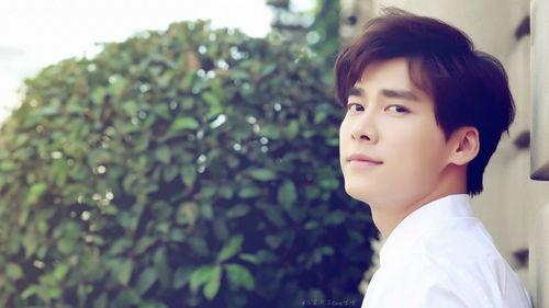 阔少攻明星受,一场跨越身份的甜蜜邂逅