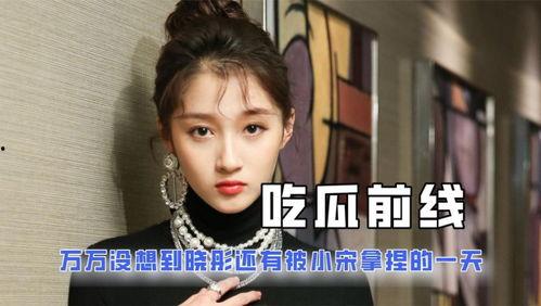 娱乐圈吃瓜小说大合集